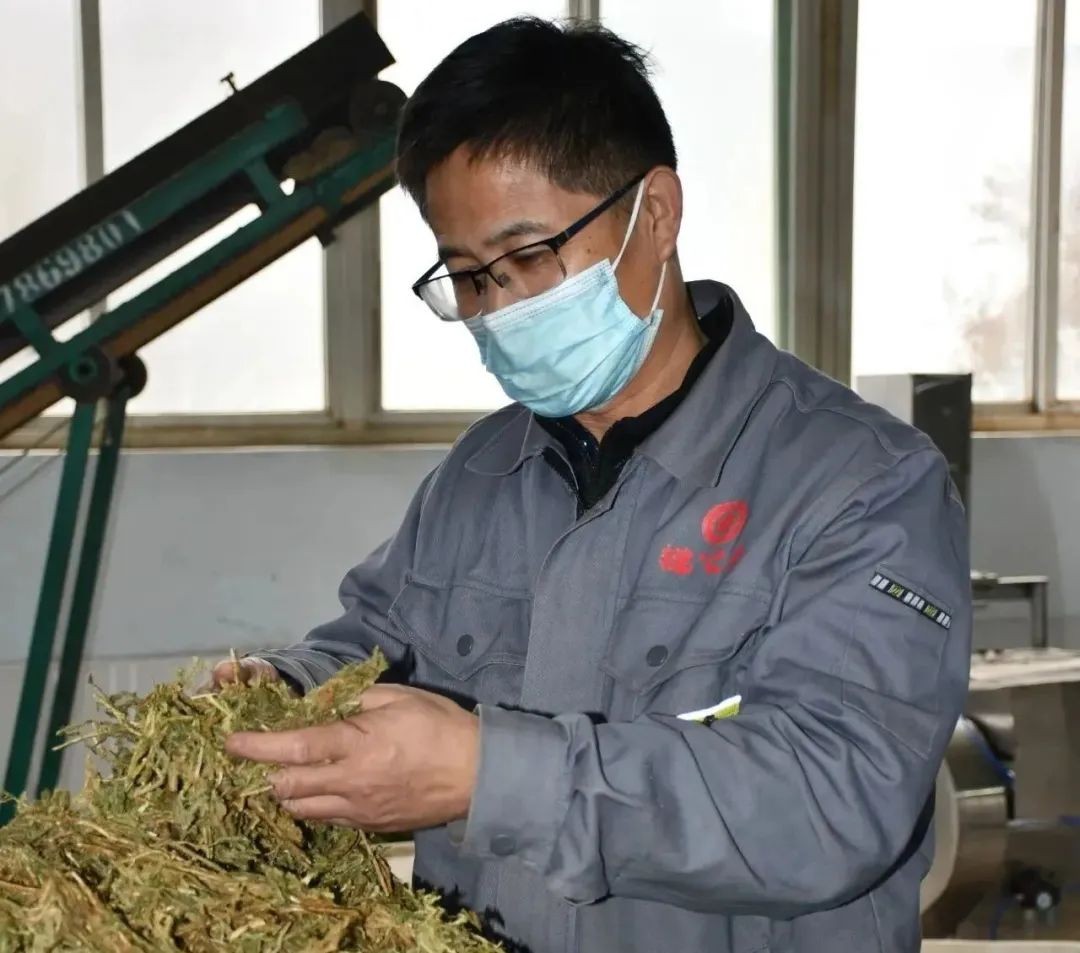 【向下扎根，向上生長(zhǎng)】孫吉民：20年堅(jiān)持做一件事